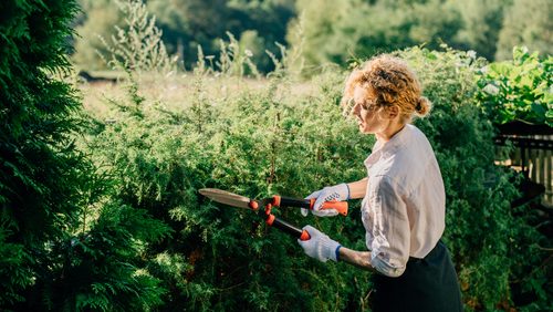 Work,In,Garden,In,Spring,,Summer.,Frenach,Slim,Romantic,Woman,