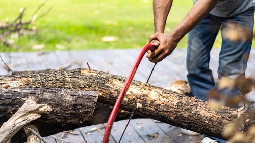 Asian,Worker,Saw,Log,,Dead,Tree,To,Small,Pieces,For