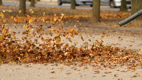Man,Cleaning,The,Park,With,A,Leaf,Blower